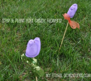 peeps garden