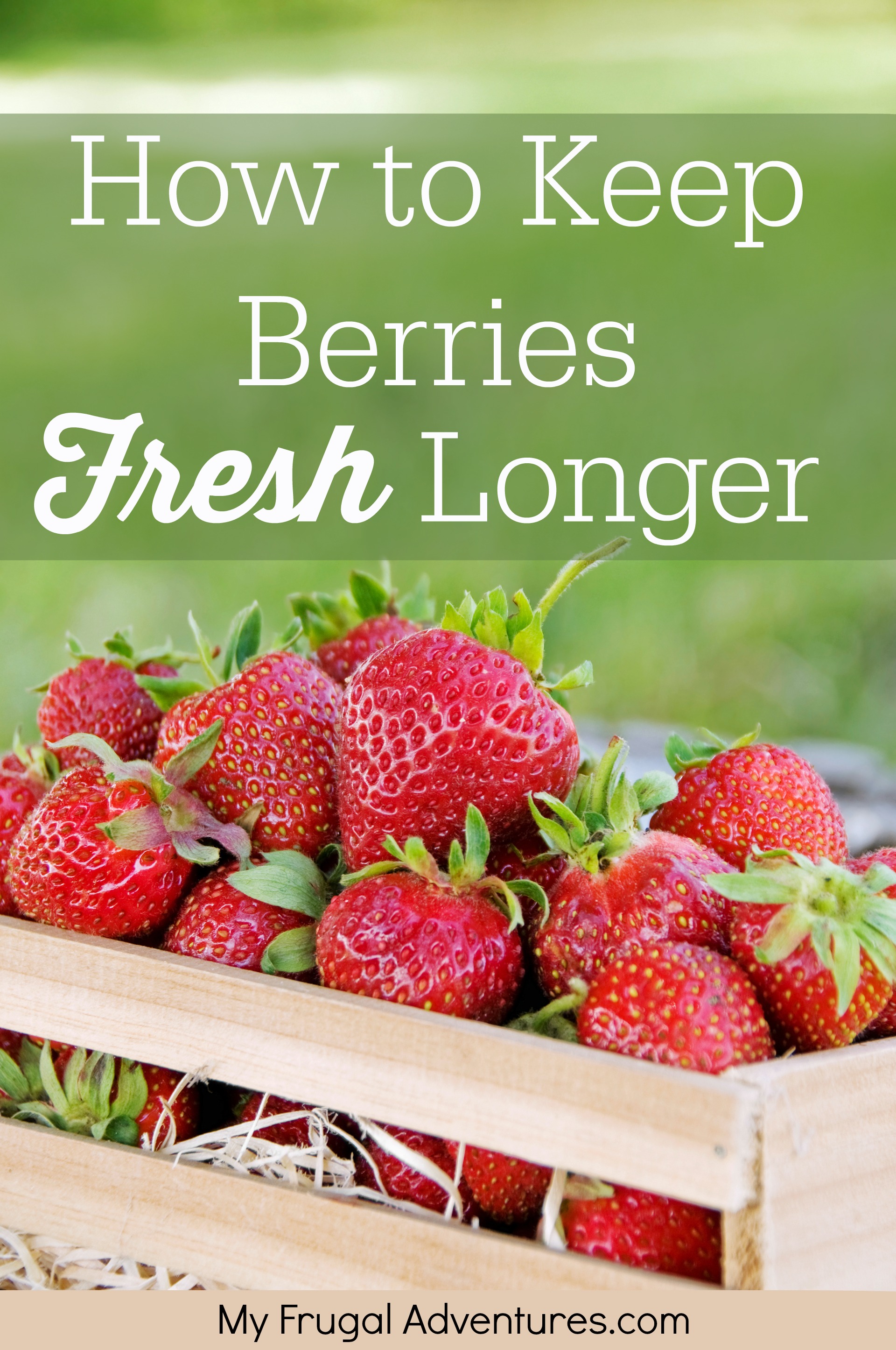 Long-Term Savings How to keep fruit fresh longer, fresh fruits