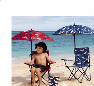 Pottery barn shop kids beach chair