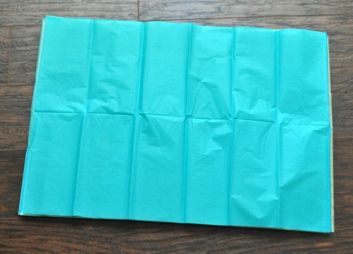 DIY tissue paper poms