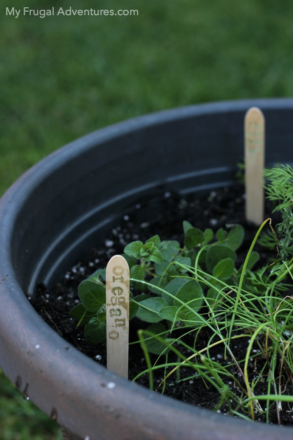 How to Plant an Herb Garden