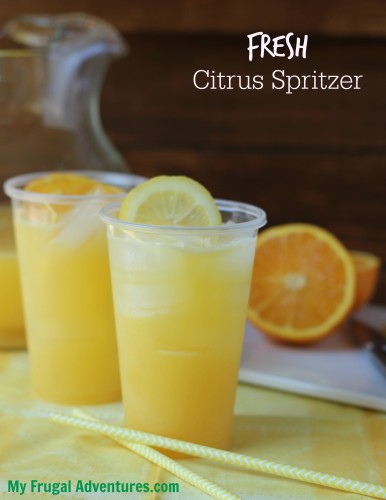 Fresh Citrus Spritzer - perfect summer drink