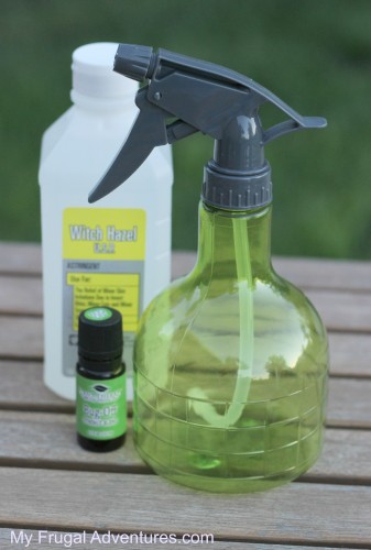 Homemade Bug Spray- so easy just 3 ingredients!
