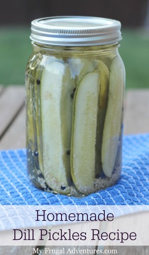 Homemade Pickles Recipe- so fast and easy!