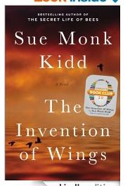 invention of wings
