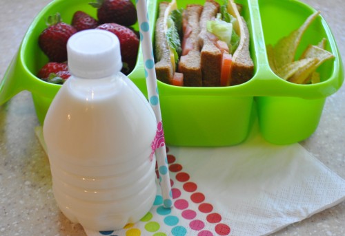 21 Ideas for Awesome School Lunches