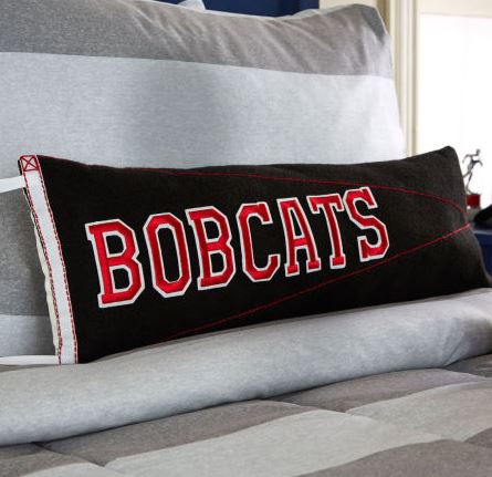 game day pillow