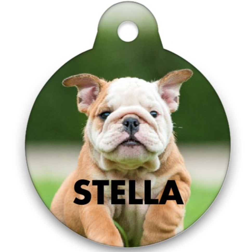 dog tags shutterfly
