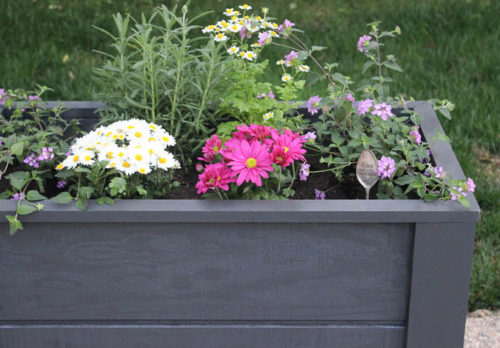 DIY Garden Planter Box - My Frugal Adventures