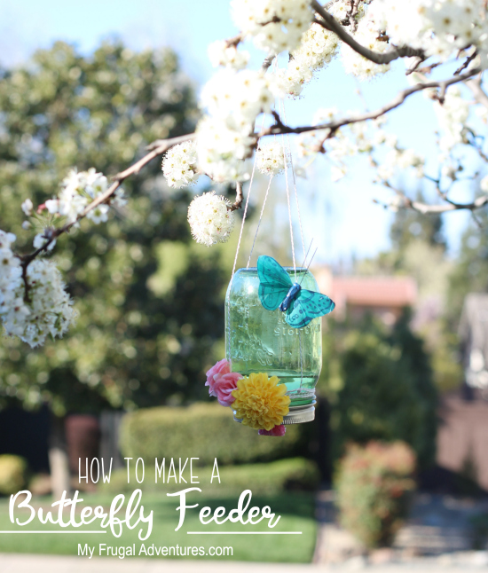 How to Make a Butterfly Feeder