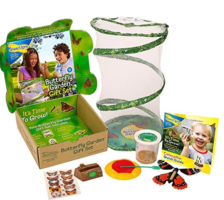 How to Make a Butterfly Feeder My Frugal Adventures