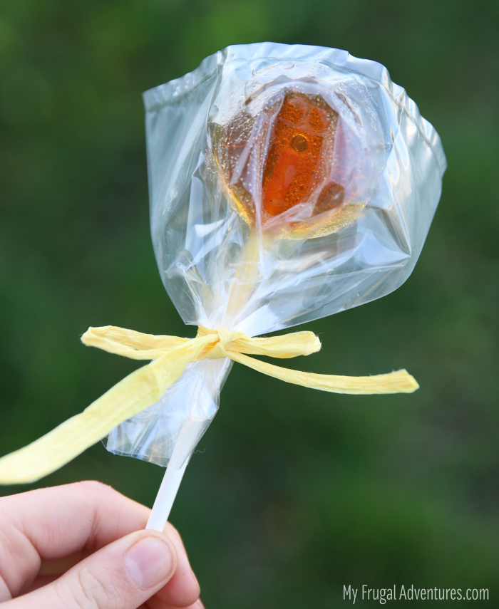 Soothing honey lollipops on myfrugaladventures.com. Simple and easy honey lollipops, perfect treat when you are under the weather.