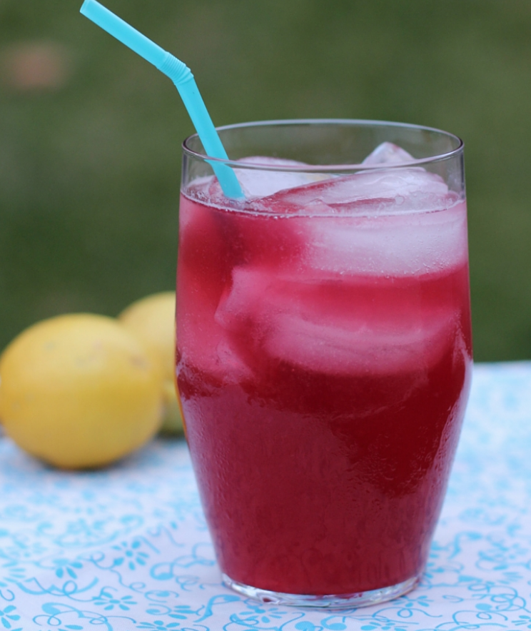 Sparkling Pomegranate Lemonade - My Frugal Adventures