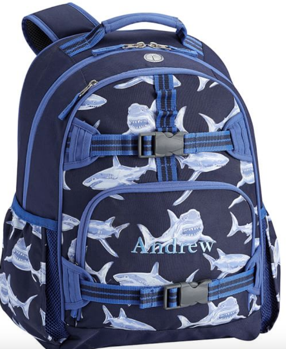 Pottery Barn Kids Backpacks and Lunchboxes up to 50% off - My Frugal