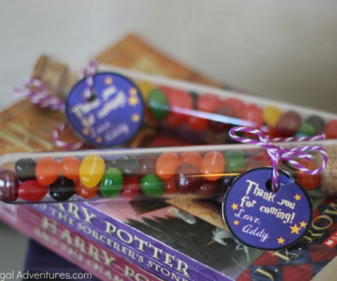 Tag: diy harry potter party favors